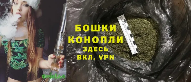 Марихуана THC 21%  Ельня 